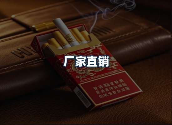 专业团队办公环境
